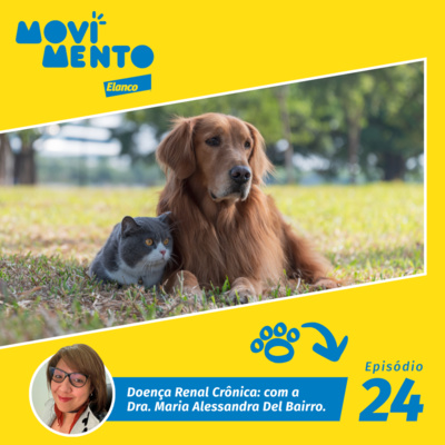 Movimento Elanco