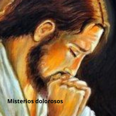 ¿Nosotros?