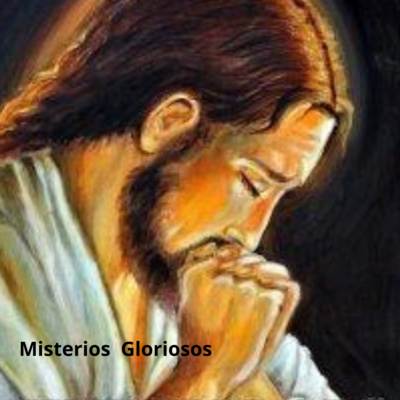 ¿Nosotros?