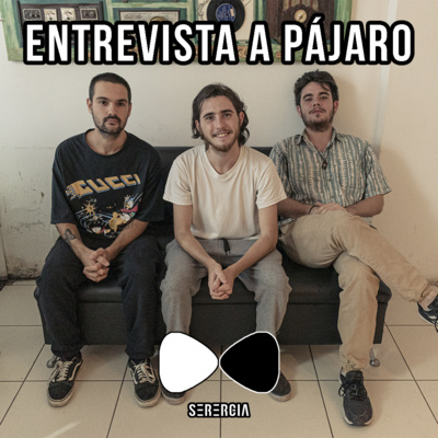 Serergia Radio