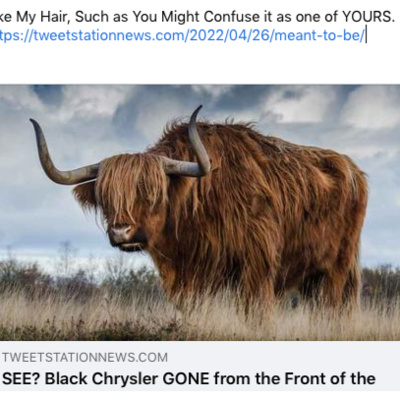 Black Chrysler GONE from the Front of the Window and alleged is setting up for the secret meeting that He thought no one saw him! episode artwork