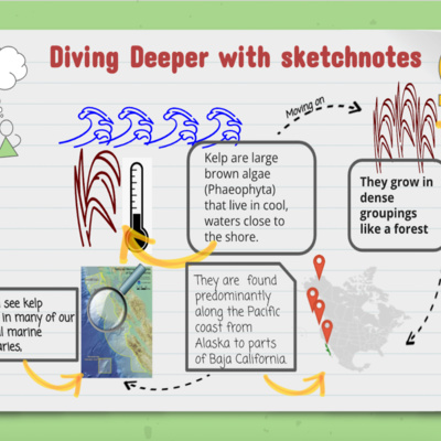 Episode 3 Sketchnote your Notes!! 