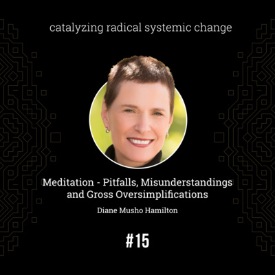 #15 - Meditation - Pitfalls, misunderstandings and gross oversimplifications, with Diane Musho Hamilton (Full Episode) episode artwork
