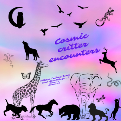 Ep 84: Cosmic Critter Encounters