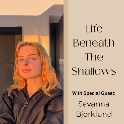 Life Beneath The Shallows