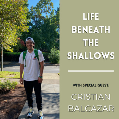 Life Beneath The Shallows