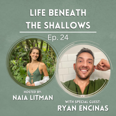 Life Beneath The Shallows