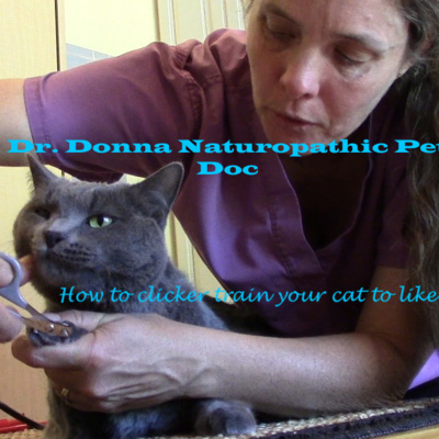 Dr. Donna, Billie the cat and Trish teach how to clicker train your cat for the vet