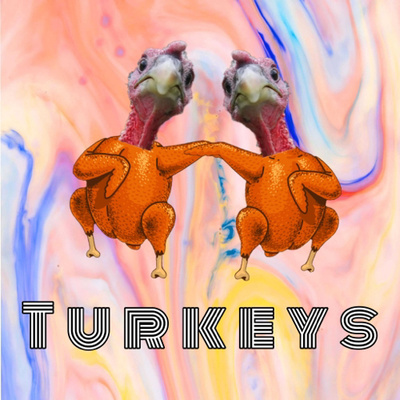 S1:E1 Turkeys!