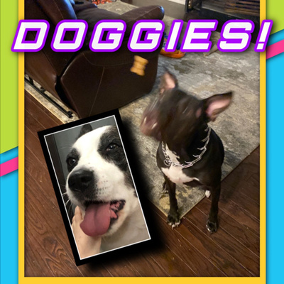 S1:E2 Doggies!