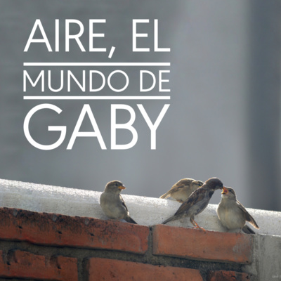 Aire, el mundo de Gaby