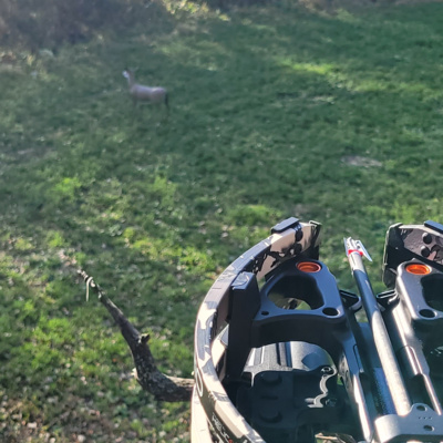 Deer Decoys, Scent Use and Practice During the Season!