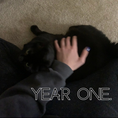 YEAR ONE.