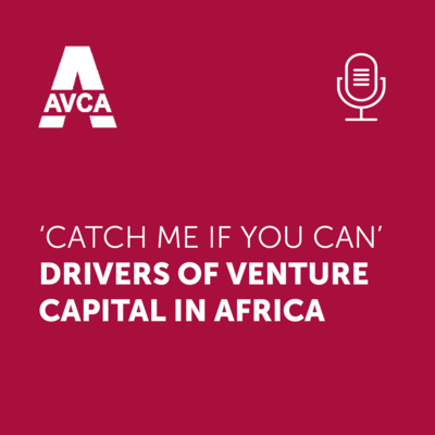 ‘Catch Me If You Can’: Exploring the drivers of venture capital in Africa