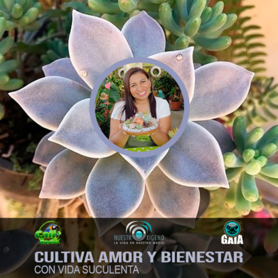 NUESTRO OXÍGENO
