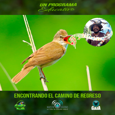 NUESTRO OXÍGENO