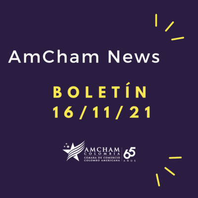 Boletín 161121 episode artwork