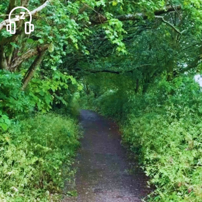 Rainy Day Path in Glastonbury | Gentle Rain Falling Through the Leaves | Soothing Sounds for Sleeping Problems, Insomnia, Stress Relief, Anxiety, Meditation, Massage, Reading, Concentration or Study