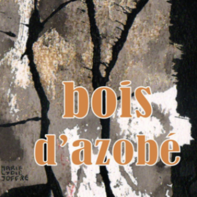 Bois d'azobé (Naissance d'un personnage) | Françoise Renaud | décembre 2021