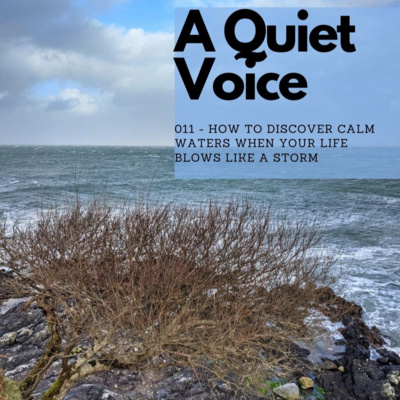 011 - How to Discover Calm Waters When Your Life Blows Like a Storm