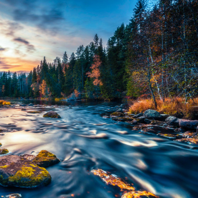 Water Sounds for Sleeping, Focus, or Relaxation | White Noise Creek Ambience episode artwork