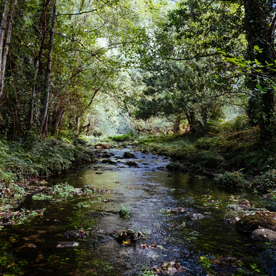 Soothing Mountain Stream Sounds | Bridge to Nowhere Hiking Trail - Los Angeles, CA ( LA area ) episode artwork