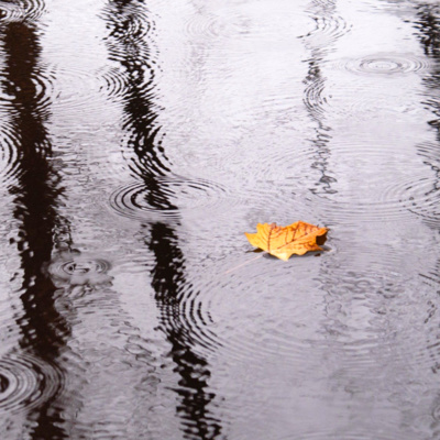 Rain on Cabin Porch (8 Hours) - Sounds for Sleeping and Relaxing | White Noise for Studying episode artwork