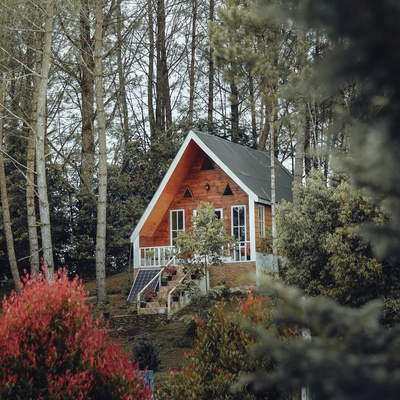 Cozy Cabin Ambience | Soothing Rain on Roof Sounds for Focus and Study