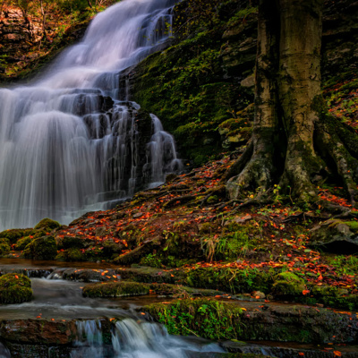 Small Waterfall White Noise (8 Hours) | Sounds for Relaxation and Sleep episode artwork