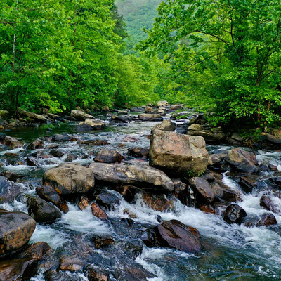 Relaxing Stream Sounds | Bubbling Water Flowing Over Rocks