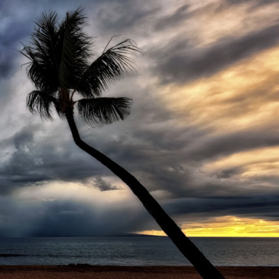Comfy Cabin by the Sea (8 Hours) | Ocean Waves Crashing with Distant Thunderstorm - Sounds for Relaxation episode artwork