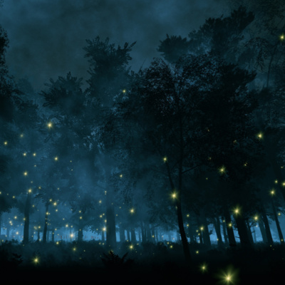 [ DEEP SLEEP ] Rain and Thunder + Frogs, Crickets, and Owls Sounds | Swamp Ambience episode artwork
