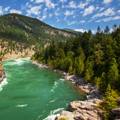 Soothing Mountain River Flowing Sound (8 Hours) | Forest River - Calming Nature Sounds episode artwork