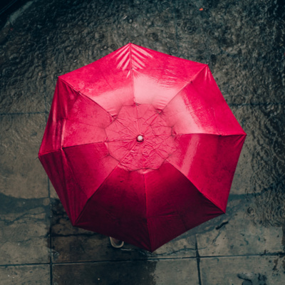 Gentle Rain Downpour White Noise (8 Hours) | Sleep Sounds - Fall Asleep Easier with Rainstorm Sounds episode artwork