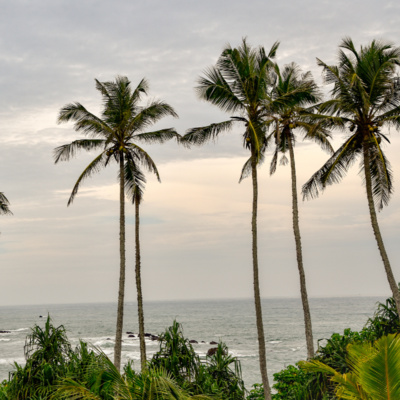 Find Your Zen with Tropical Island Sounds (8 Hours) | Crashing Waves Birds Singing and Rain Sound episode artwork