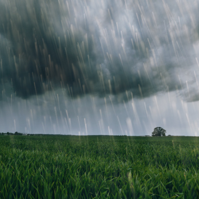 [Fall Asleep] Lite Rain with Distant Thunder (8 Hours) | Rain Sounds for Sleeping episode artwork