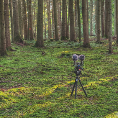 Relaxing ambient sound recording, Entspannende Naturklänge 2.