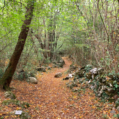 Relaxing ambient sound recording, Entspannende Naturklänge 4.