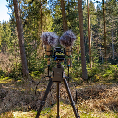 Relaxing ambient sound recording, Entspannende Naturklänge 10.3.2022