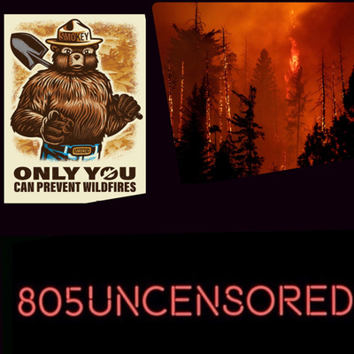 #63: Smokey the Bear, Colonization, and the Pyrocene episode artwork