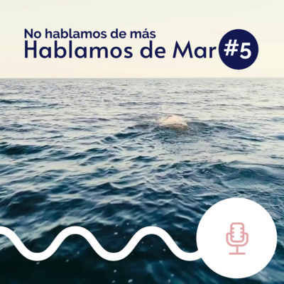 No hablamos de más, Hablamos de Mar