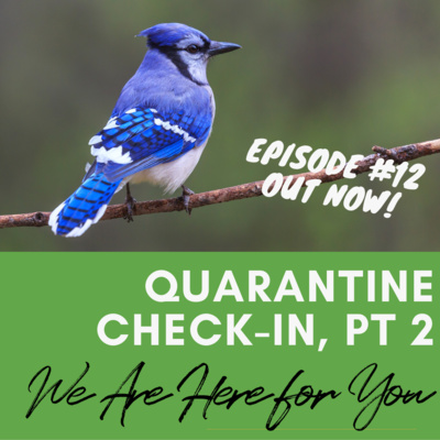 12. Quarantine Check-In Part 2