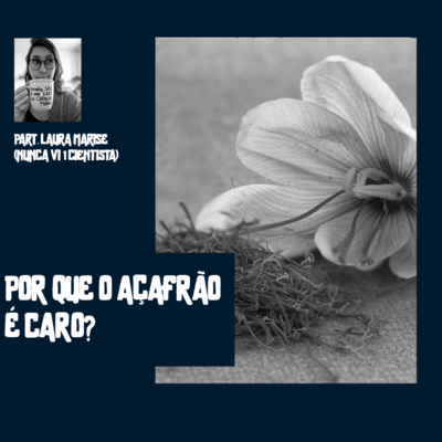 Geografia em Meia Hora