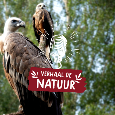 Verhaal de Natuur - Walter Bats 