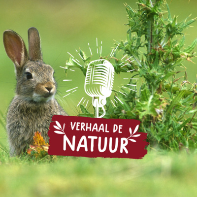 Verhaal de Natuur - Fatiha (Nederlands)