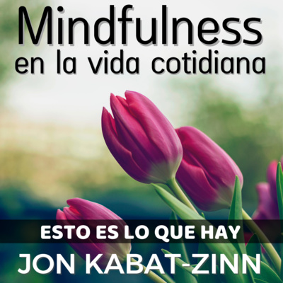 Esto es lo que hay - Mindfulness en la vida cotidiana por Jon Kabat-Zinn - Capítulo 3