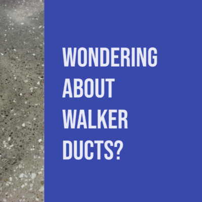 Fragments 12: Wondering About Walker Ducts?