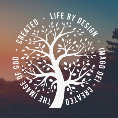 Created - Stewardship