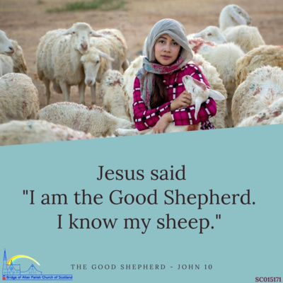 The Good Shepherd - Luke 10:11-18 - Sunday 25th April