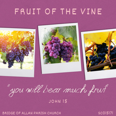 The true vine - “you will bear good fruit” - John 15:1-8 - Sunday 2nd May 2021 